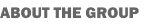 About the Group